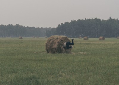 Открытки